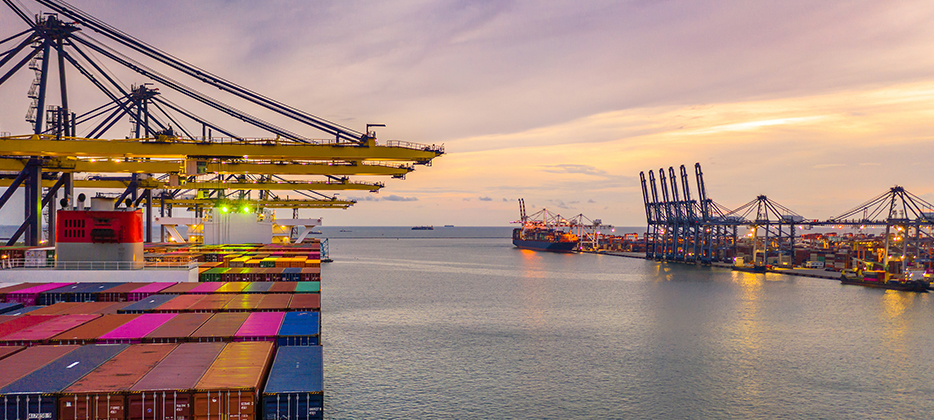 ¿Cómo Optimizar la Operativa Comercial en las Aduanas?