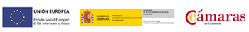 Logo ...